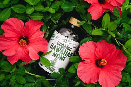 5 Red Flags, Showing you’re in an Abusive Gut-Health Relationship