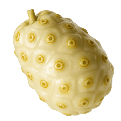 Meet your new best friend: NONI